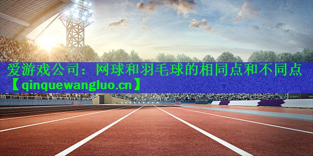 <strong>爱游戏公司：网球和羽毛球的相同点和不同点</strong>